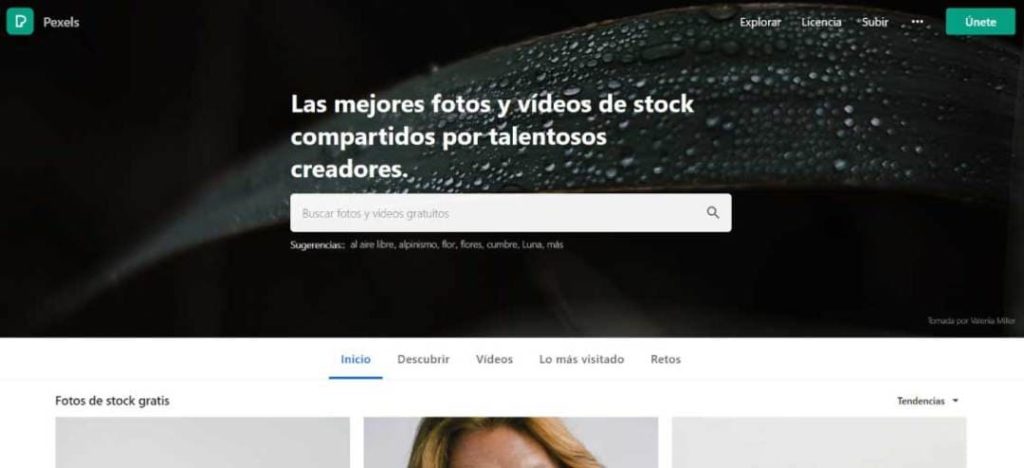 Pexels